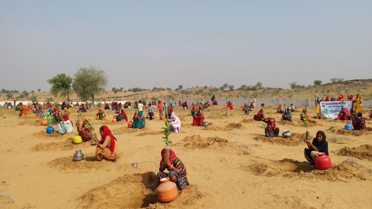 Environment Protection & Green Clean Village — Green Organic Welfare Foundation field activity