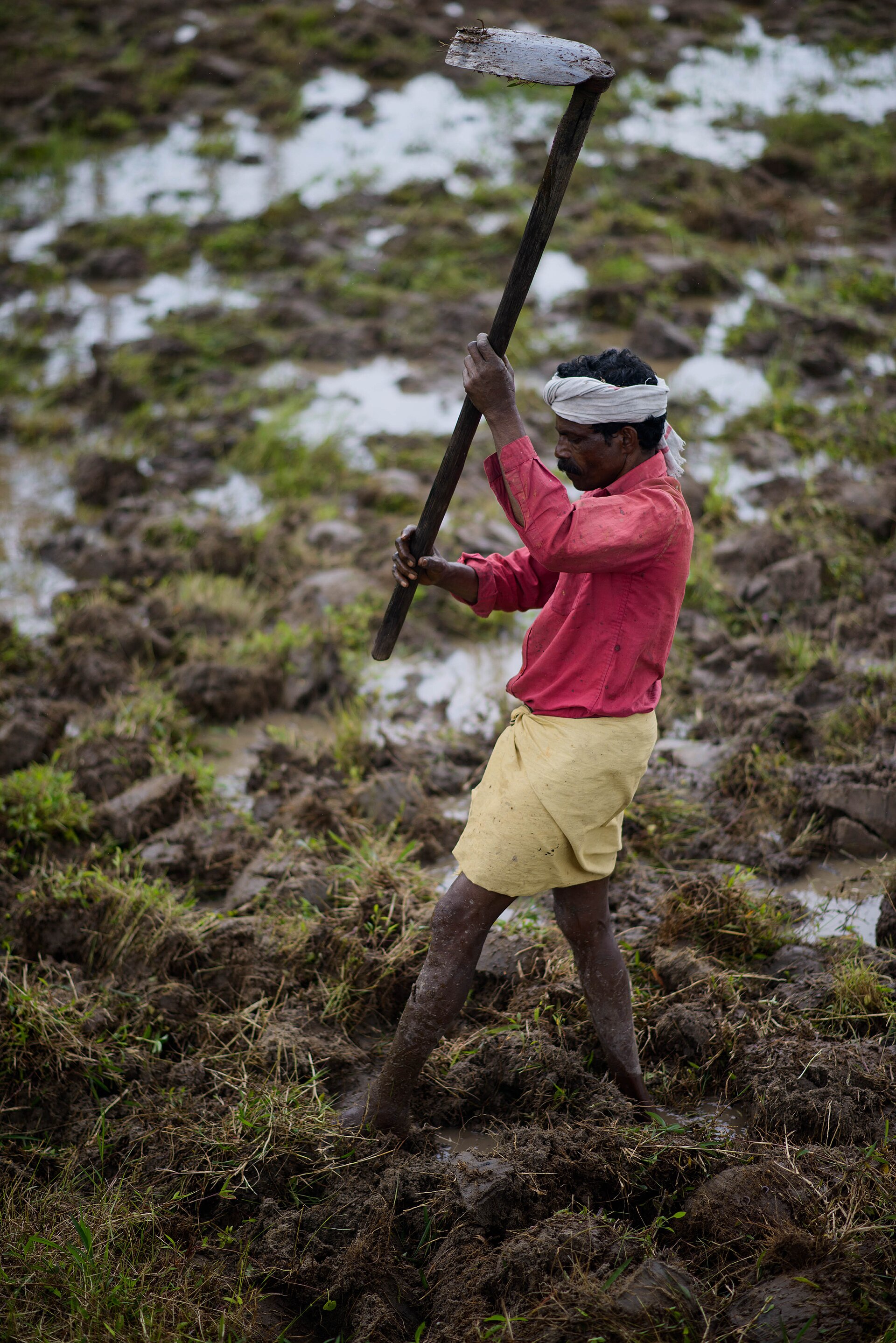 A farmer preparing land by hand ahead of the sowing season