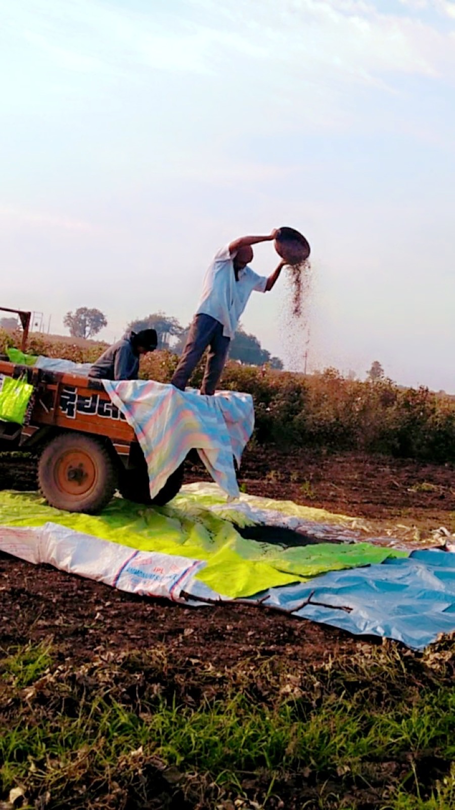 Organic Farming — Green Organic Welfare Foundation field activity